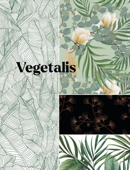 Baignoire gamme Végétalis - Étanche et de qualité