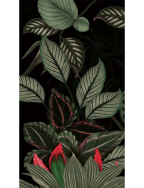 Panneau mural gamme Panoramique - Étanche et de qualité