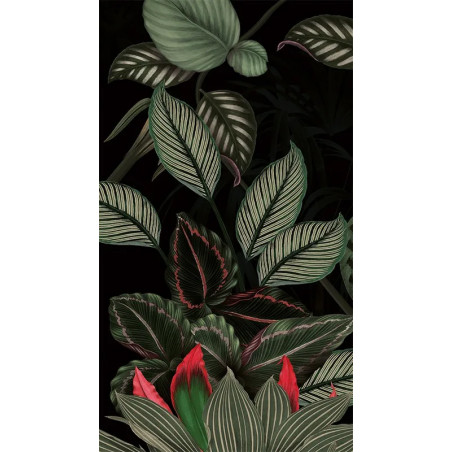 Panneau mural gamme Panoramique - Étanche et de qualité