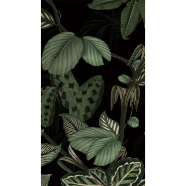 Panneau mural gamme Panoramique - Étanche et de qualité 2