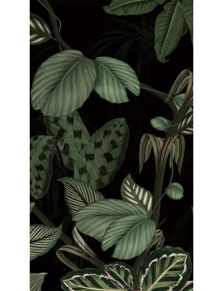 Panneau mural gamme Panoramique - Étanche et de qualité